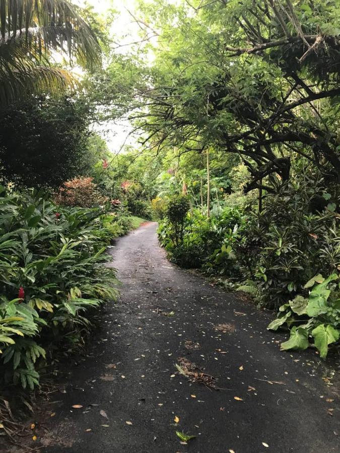 Tropical Garden Self Catering Villa Victoria Eksteriør bilde