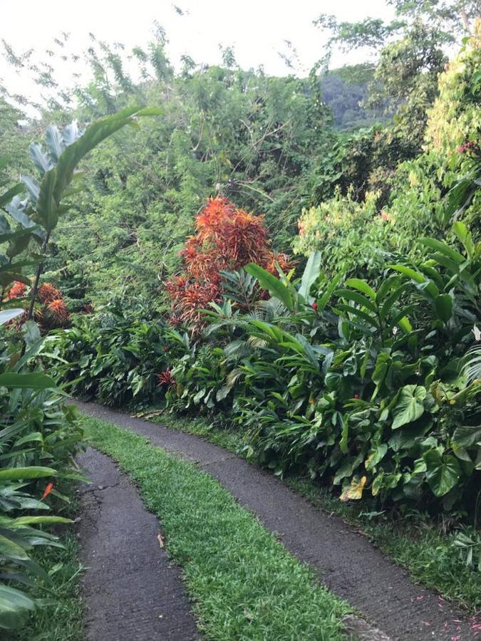 Tropical Garden Self Catering Villa Victoria Eksteriør bilde