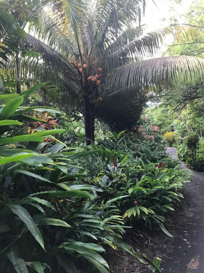 Tropical Garden Self Catering Villa Victoria Eksteriør bilde